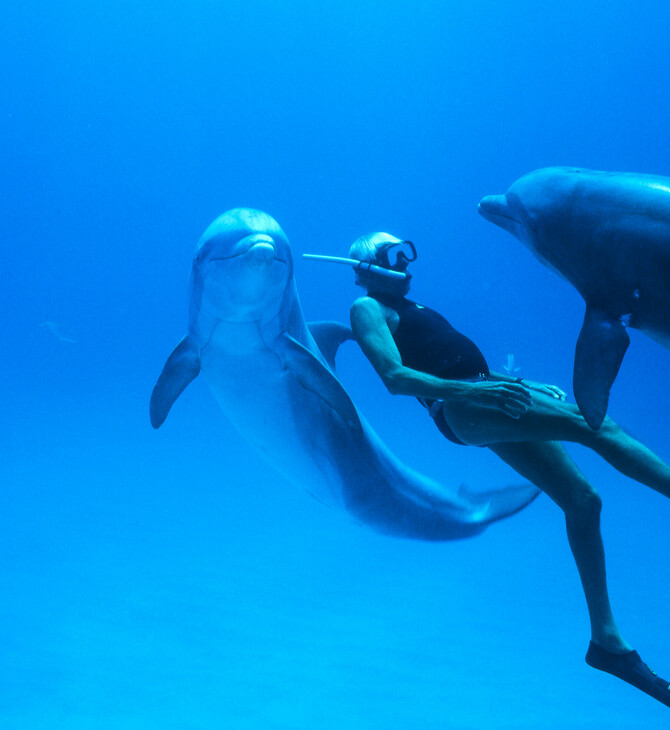Παγκόσμια Ημέρα Γης στις 22 Απριλίου με τη Δωρεάν Προβολή της βραβευμένης ταινίας Dolphin Man