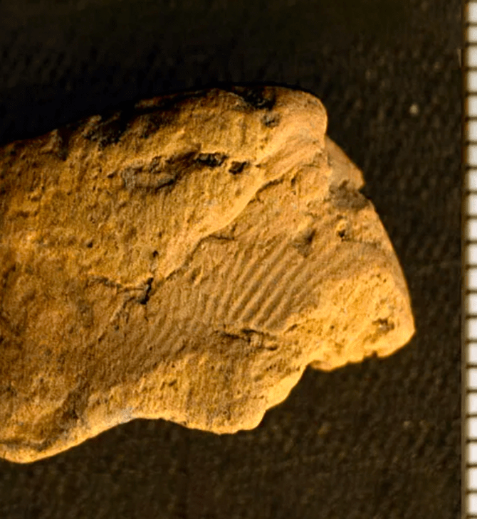 Ένα δακτυλικό αποτύπωμα 5.000 ετών βρέθηκε σε πήλινο θραύσμα στη Σκωτία