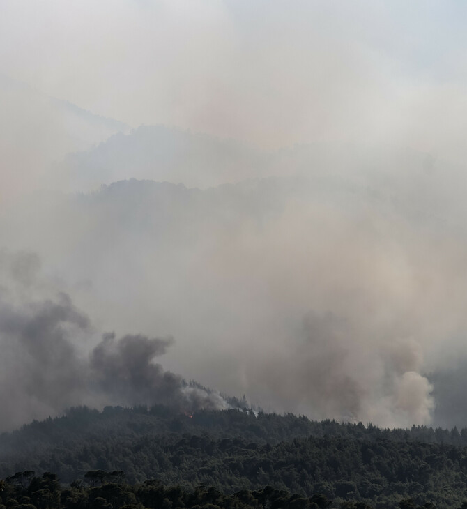 Live η ενημέρωση για τη φωτιά στο Σχίνο Κορινθίας