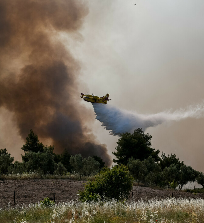 Μητσοτάκης: Οι 18 περιοχές που κινδυνεύουν από πυρκαγιές- Πολλά κομμένα δέντρα δεν έχουν καθαριστεί