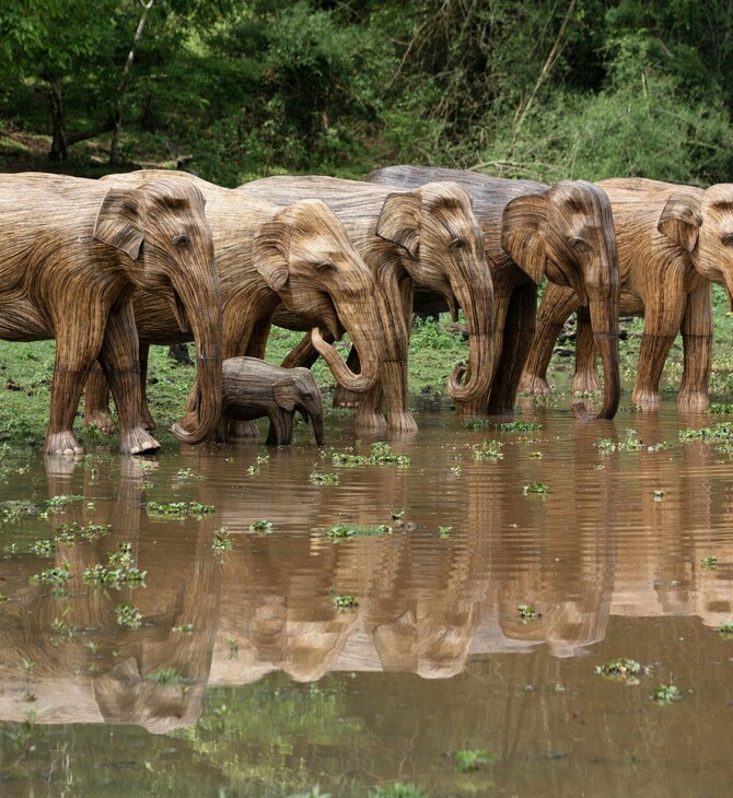 «Ελέφαντες» πραγματικού μεγέθους στους δρόμους του Λονδίνου - Μήνυμα για την προστασία τους