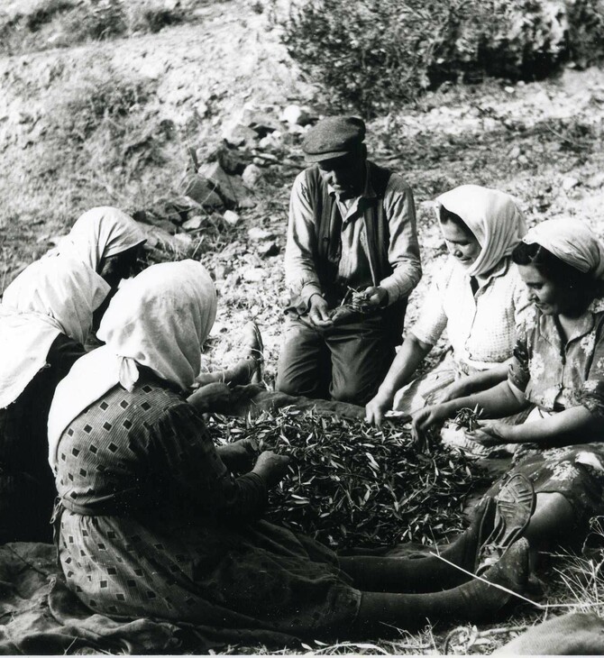 Υφαίνοντας Ιστορίες : Η Margaret Kenna και η Ανάφη