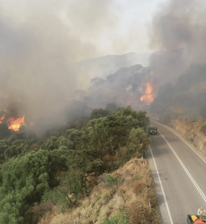 Φωτιά στη Χίο: Εκκενώθηκαν τρεις οικισμοί - Οι φλόγες απείλησαν σπίτια στο χωριό Κατάβαση