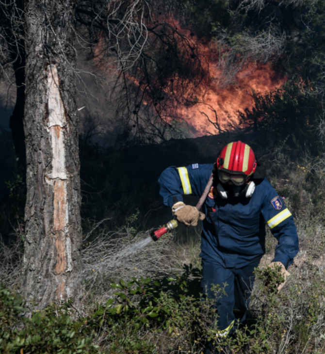 «Συναγερμός» για πυρκαγιά στη Χασιά Αττικής: Στο σημείο ισχυρές πυροσβεστικές δυνάμεις