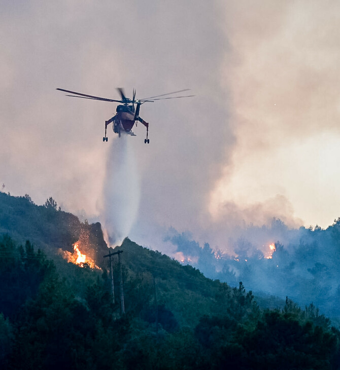 Φωτιά σε δασική έκταση στον Άγιο Νικόλαο- Υπό μερικό έλεγχο η πυρκαγιά στην Κάρυστο 