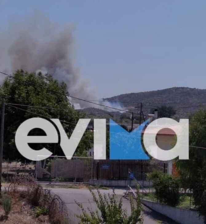 «Συναγερμός» για φωτιά στη Χαλκίδα κοντά σε κατοικημένη περιοχή (εικόνες)
