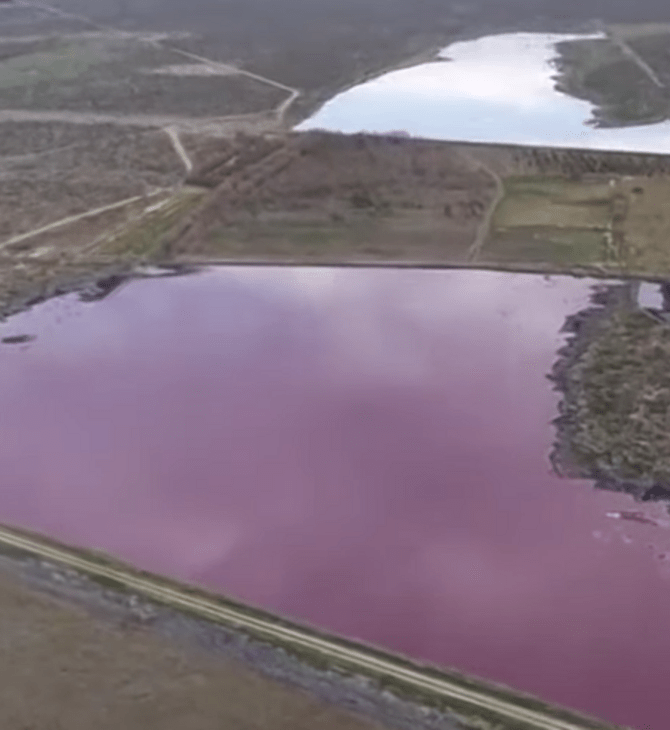 Λιμνοθάλασσα στην Αργεντινή έγινε ροζ, λόγω των αποβλήτων