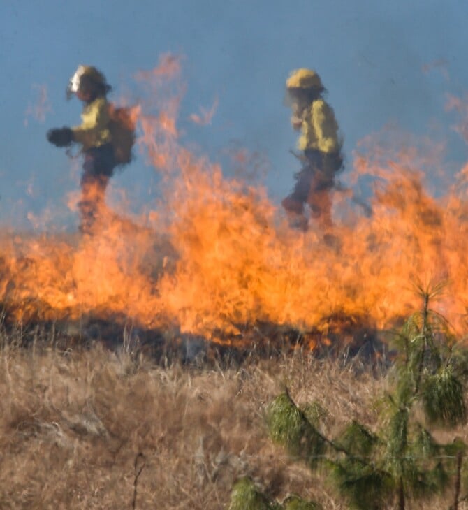 Βουλγαρία: Νεκροί δύο δασοφύλακες σε επιχείρηση κατάσβεσης δασικών πυρκαγιών - Εγκλωβίστηκαν στις φλόγες
