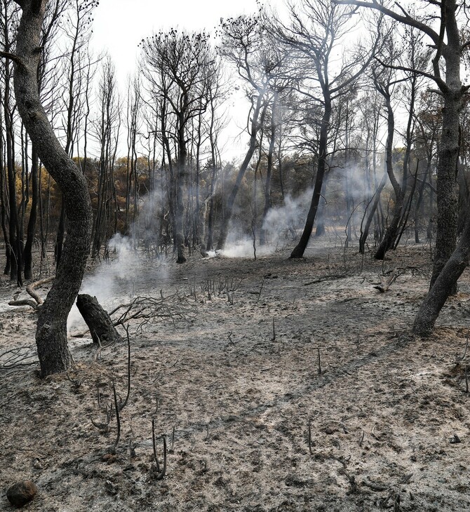 Ζάγκας: Η πρόληψη μπορεί να αποτρέψει το 99,5% των πυρκαγιών να γίνουν μέγα-πυρκαγιές