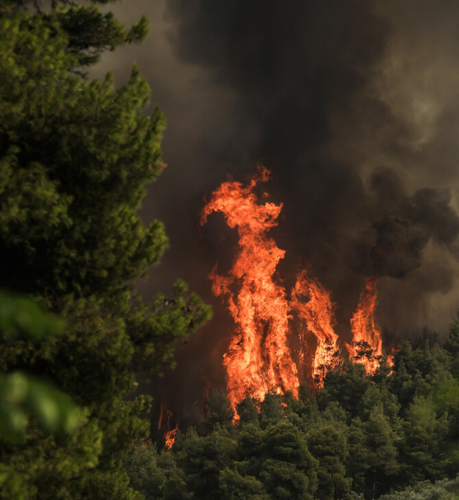 Φωτιά στη Φωκίδα- Εντολή εκκένωσης και για τον Τολοφώνα