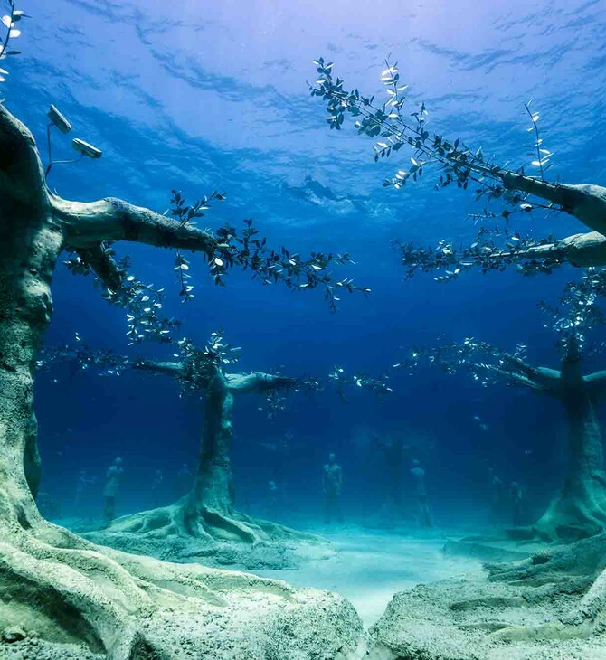 Ένα μοναδικό υποβρύχιο μουσείο-δάσος στην Αγία Νάπα της Κύπρου