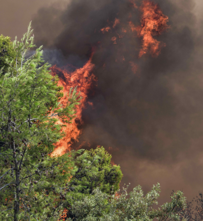 Σπάρτη: Σε εξέλιξη φωτιά στην περιοχή Δρυάλια Λακωνίας Δεν απειλούνται κατοικημένες περιοχές 