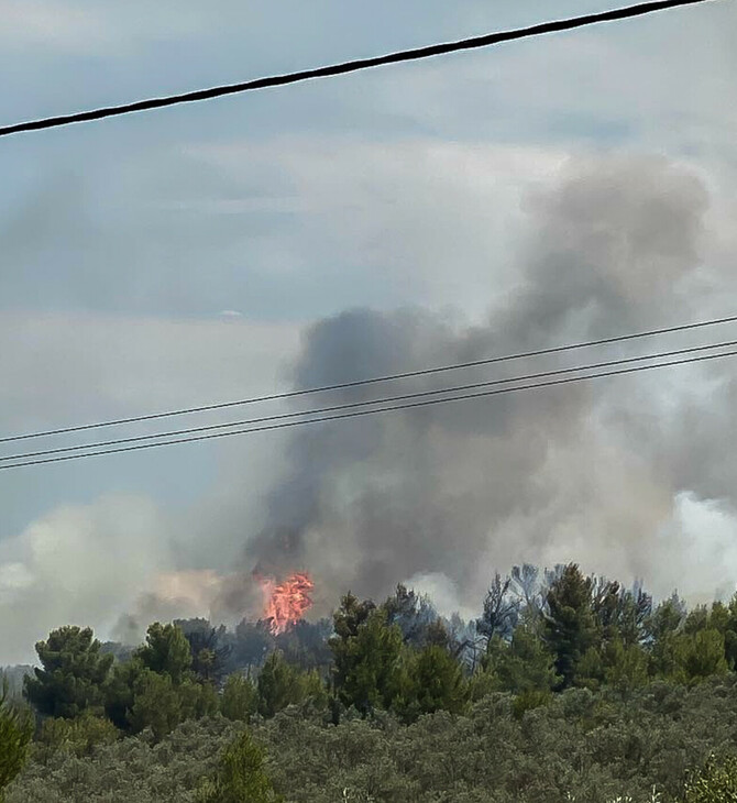 Φθιώτιδα: Προσαγωγή ανήλικου για φωτιές στον Θεολόγο