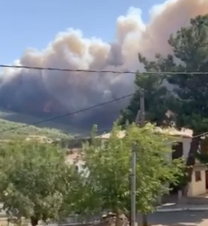 Μεγάλη πυρκαγιά, ξανά προς τα Βίλια - Ισχυροί άνεμοι (ΒΙΝΤΕΟ)