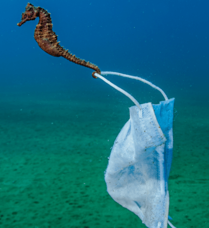 Ocean Photography Awards 2021 