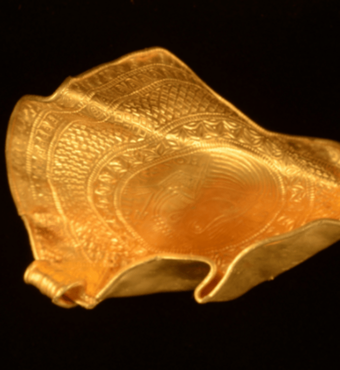 Δανία: Ανακάλυψε τυχαία θησαυρό με χρυσά νομίσματα και τιμαλφή από την Εποχή του Σιδήρου