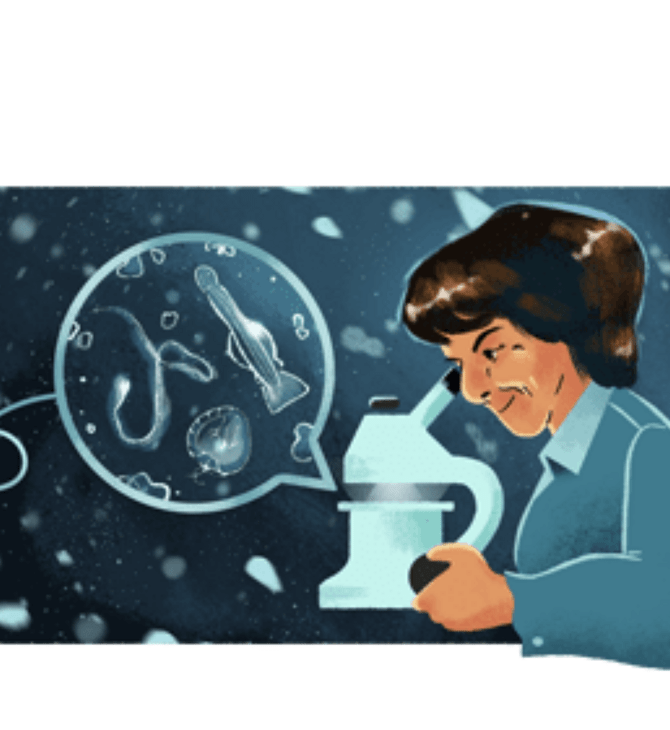 Ángeles Alvariño: Αφιερωμένο στην Ισπανίδα βιολόγο το σημερινό doodle της Google