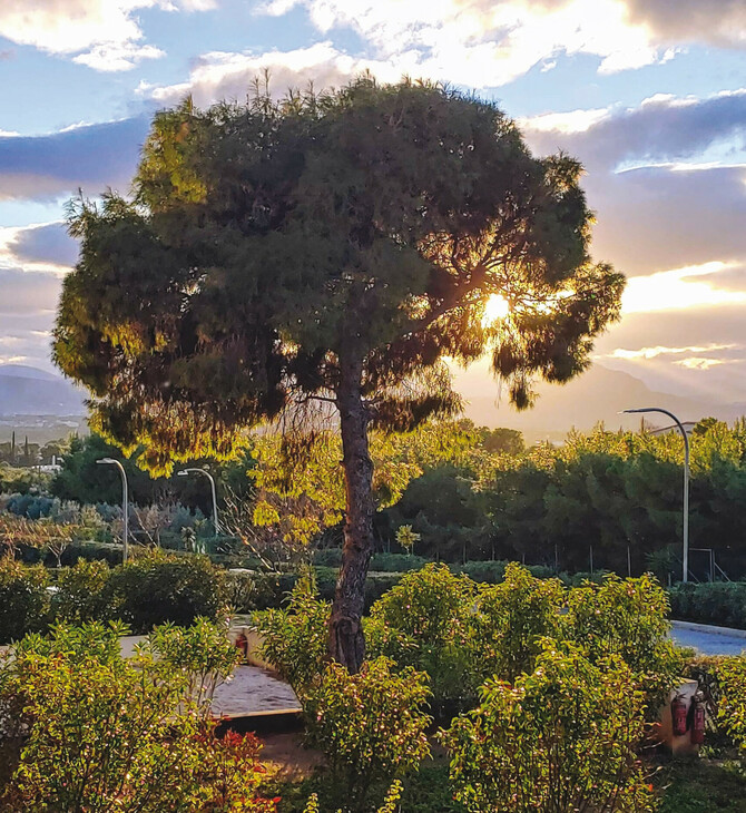 Αποκατάσταση στην ιαματική λουτρόπολη, με ιστορία αιώνων