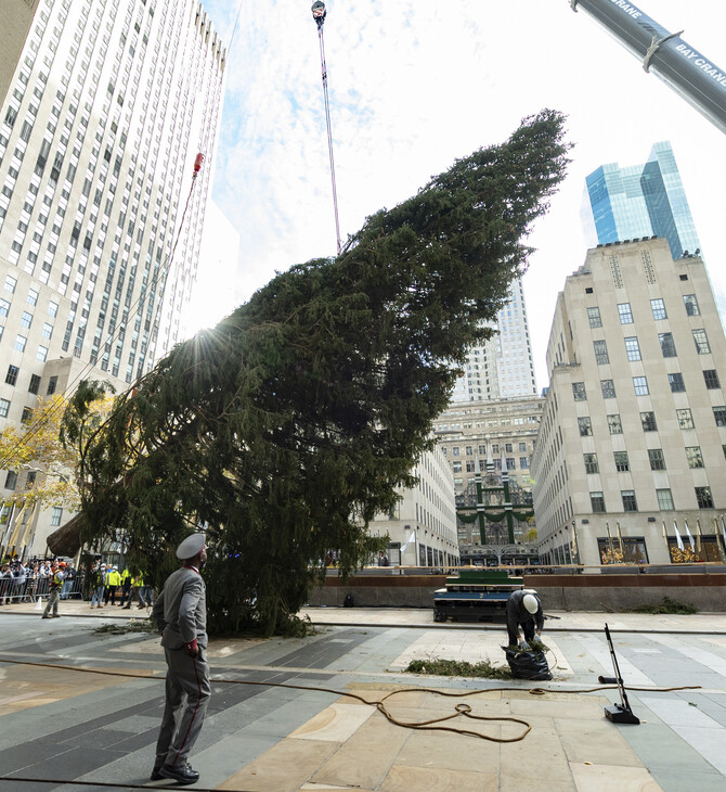 Home for the holidays: Rockefeller tree arrives in NYC