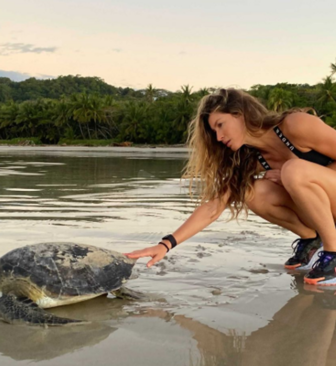 Η Ζιζέλ Μπούντχεν βοηθά θαλάσσια χελώνα, που τη βρήκε παγιδευμένη σε δίχτυα