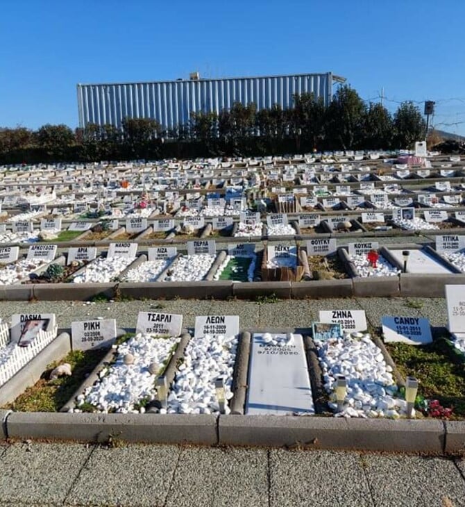 Αποτεφρωτήριο μικρών ζών στη Θεσσαλονίκη από τα μέσα Φερβουαρίου