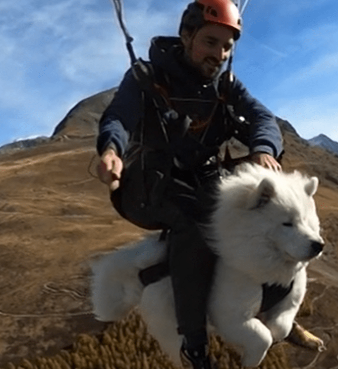 Σκηνοθέτης κάνει παραπέντε με τον σκύλο του στις γαλλικές Άλπεις