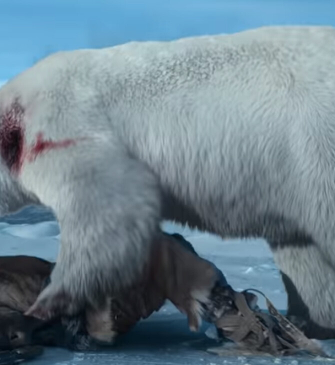 Νικολάι Κόστερ-Βαλντάου: Υπέστη διάσειση παλεύοντας με CGI πολική αρκούδα σε γυρίσματα 