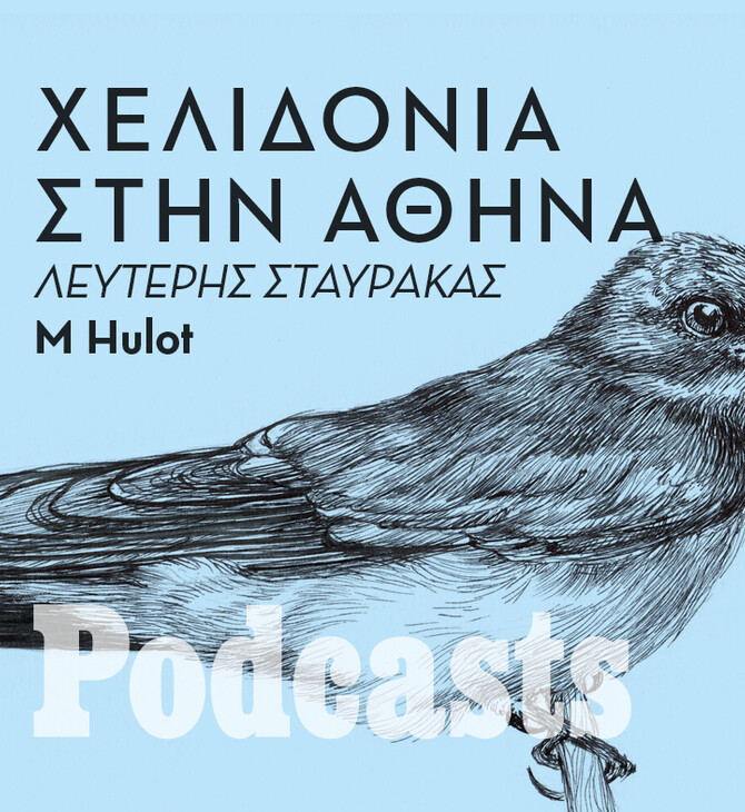 Γιατί χάνονται τα χελιδόνια;