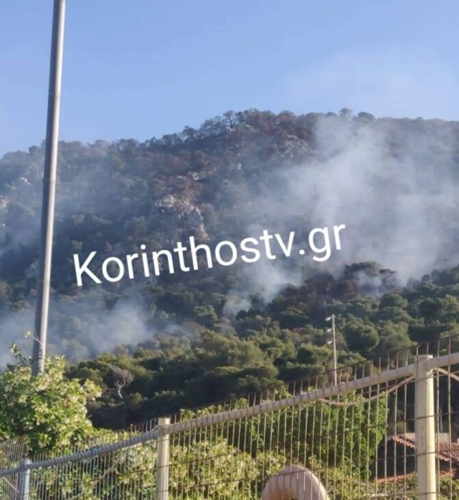 Φωτιά στις Κεχριές -Καίει δάσος με πεύκα