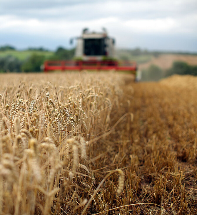 Πόλεμος στην Ουκρανία: Σχέδιο για εξαγωγή σιτηρών στη Βόρεια Αμερική από την υπό ρωσικό έλεγχο Ζαπορίζια