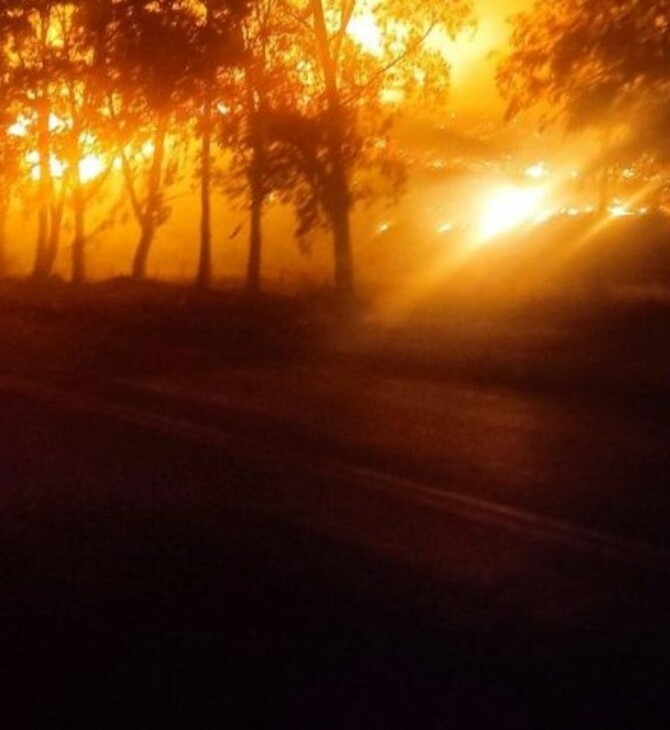 Φωτιά στη Φωκίδα: Κοντά στην πόλη τη Ιτέας οι φλόγες- «Η κατάσταση είναι πολύ δύσκολη»