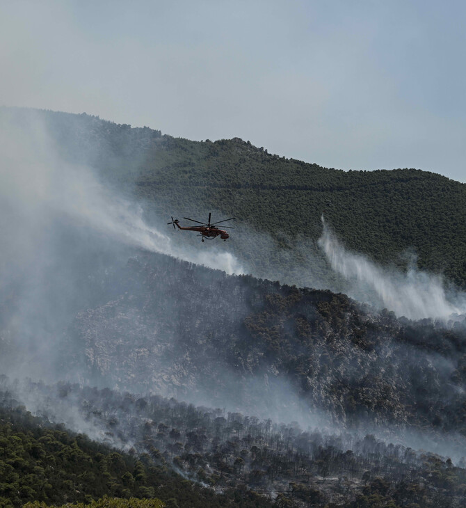 Φωτιά στον Πύργο: Ενισχύθηκαν οι πυροσβεστικές δυνάμεις- Καλύτερη η εικόνα της πυρκαγιάς στο Πόρτο Γερμενό