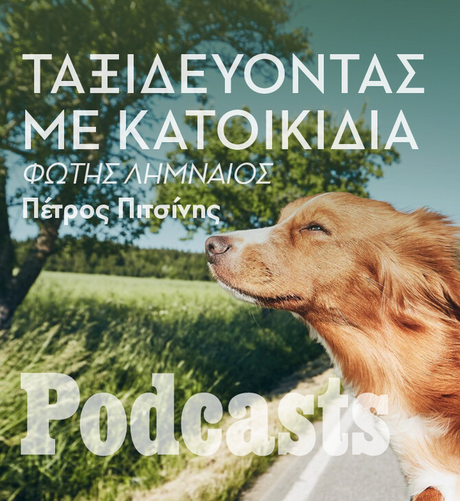 ΠΑΡΑΣKΕΥΗ 08/07 - ΕΧΕΙ ΠΡΟΓΡΑΜΜΑΤΙΣΤΕΙ-Τα μυστικά της ασφαλούς μετακίνησης με σκύλο ή γάτα