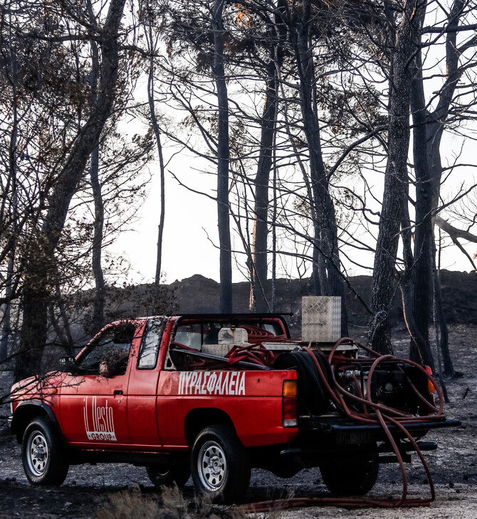 Φωτιές: Απαγόρευση κυκλοφορίας οχημάτων σε δρυμούς, στις περιφέρειες υψηλού κινδύνου 
