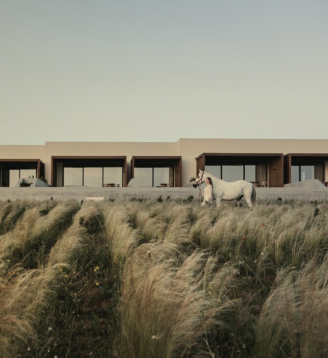 The Design Ambassador: Meraviglia Slow Living