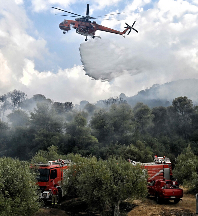Σε ύφεση η φωτιά στην Κέρκυρα- Καλύτερη εικόνα από την πυρκαγιά στην Αμαλιάδα