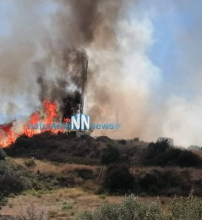 Φωτιά στη Ναύπακτο
