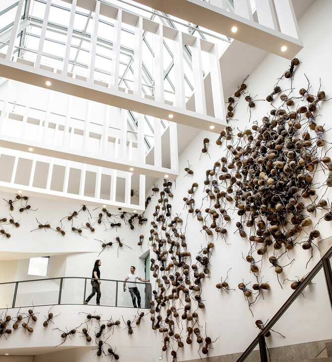 «Όχι σκούπα και ξεσκόνισμα»: Σε αυτή την έκθεση αράχνες και έντομα κινούνται ελεύθερα στον χώρο