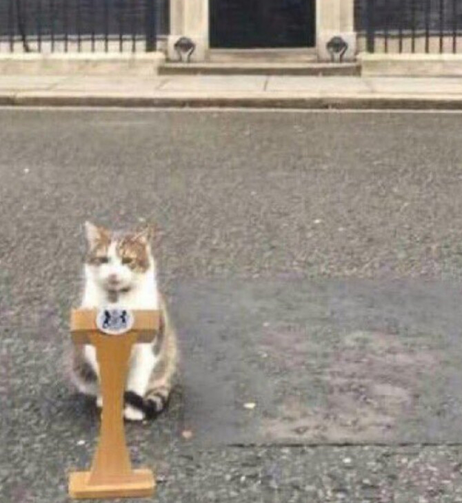 «Ο βασιλιάς μου ζήτησε να γίνω πρωθυπουργός»: Τρολ λογαριασμός του γάτου της Ντάουνινγκ Στριτ σχολιάζει την παραίτηση Τρας