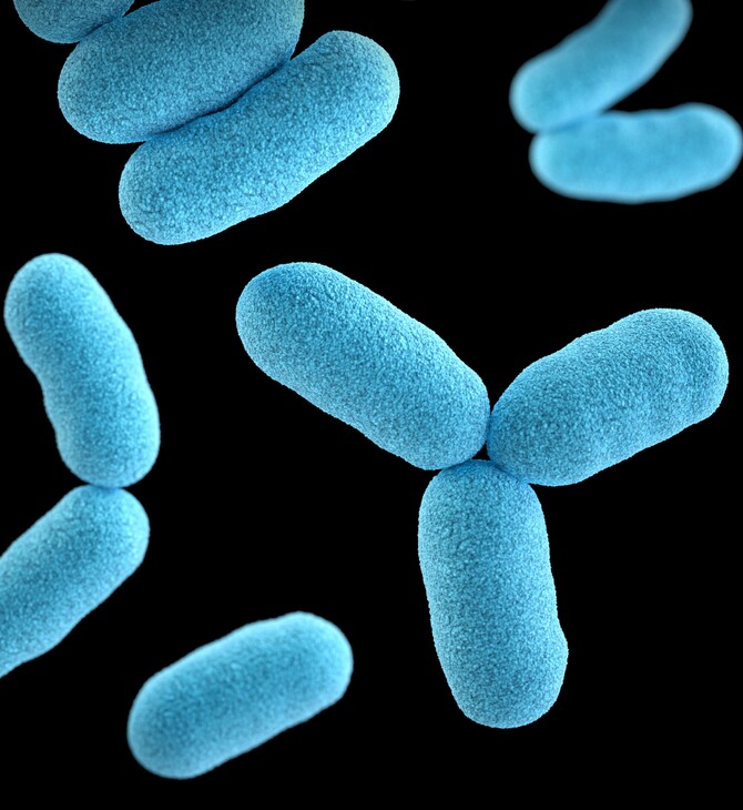 Μάστιγα οι βακτηριακές λοιμώξεις: Δεύτερη κύρια αιτία θανάτου παγκοσμίως
