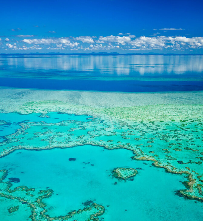 Μεγάλος Κοραλλιογενής Ύφαλος: «Να ενταχθεί στα παγκόσμια μνημεία σε κίνδυνο» προτείνει έκθεση του ΟΗΕ