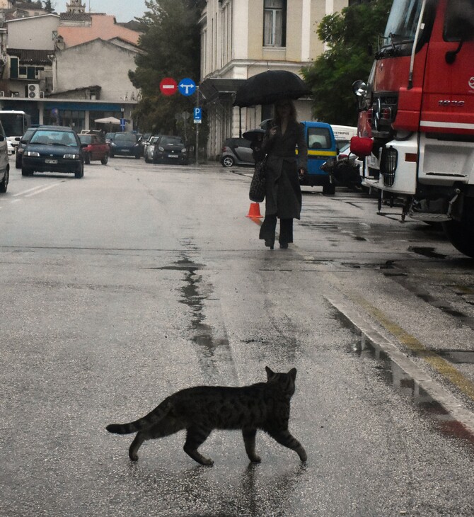 Σύσκεψη επιφυλακής για την κακοκαιρία και οδηγίες προς τους πολίτες 