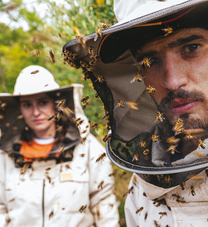 Beegin: Πώς η Εndless EC στηρίζει έμπρακτα τους μελισσοκόμους της Β. Εύβοιας