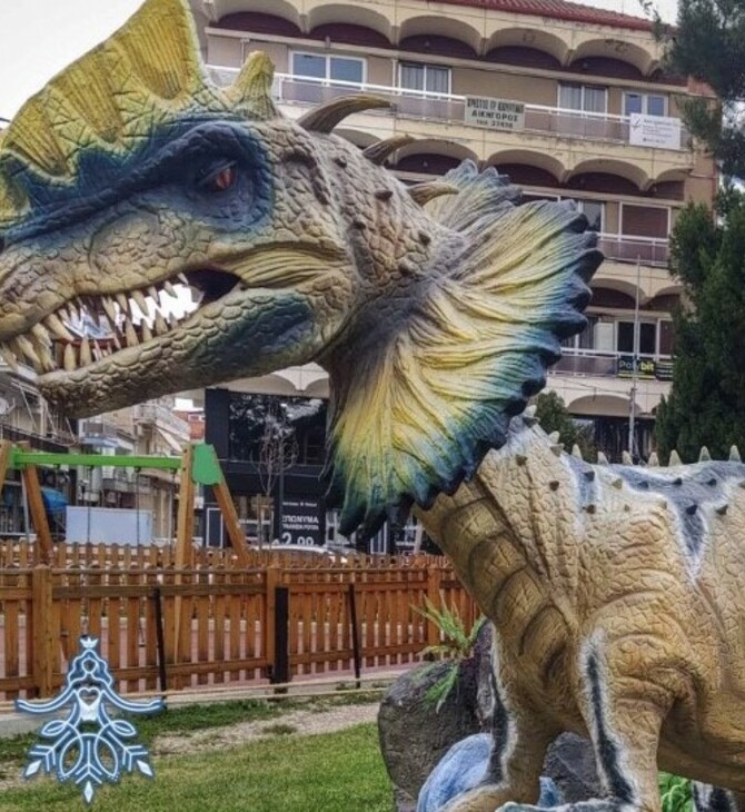 Η Νιφάδα τι Πτολεμαείδες θα ξυπνήσει για άλλη μια χρονιά στο Δήμο Εορδαίας