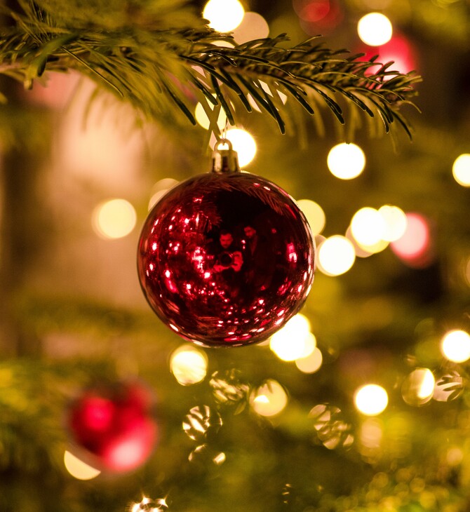 Moonlight Boutique Christmas Wonderland
