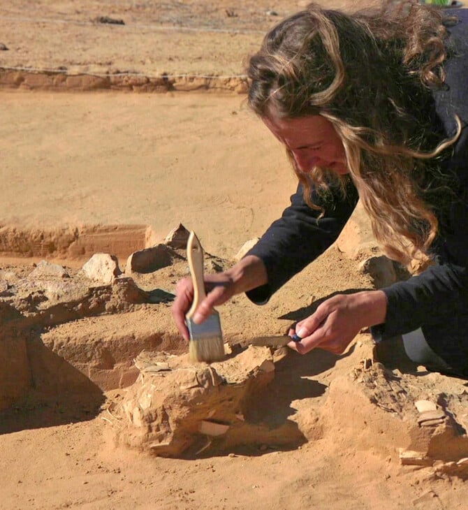 Ostrich eggs up to 7,500 years old found next to ancient fire pit in Israel