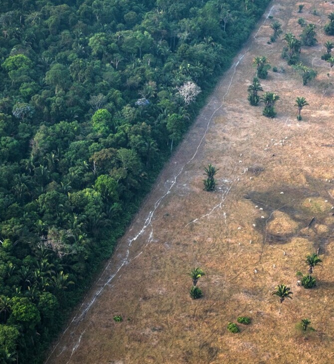 Αμαζόνιος: Πάνω από το 1/3 του τροπικού δάσους υποβαθμίστηκε από ανθρώπινη δραστηριότητα και ξηρασία
