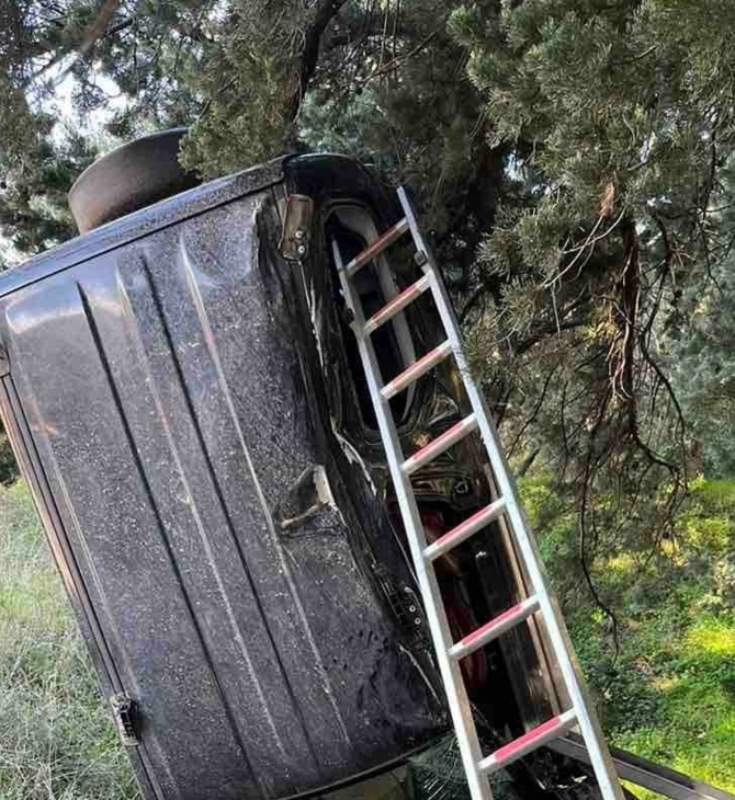 Αυτοκίνητο σε δέντρο