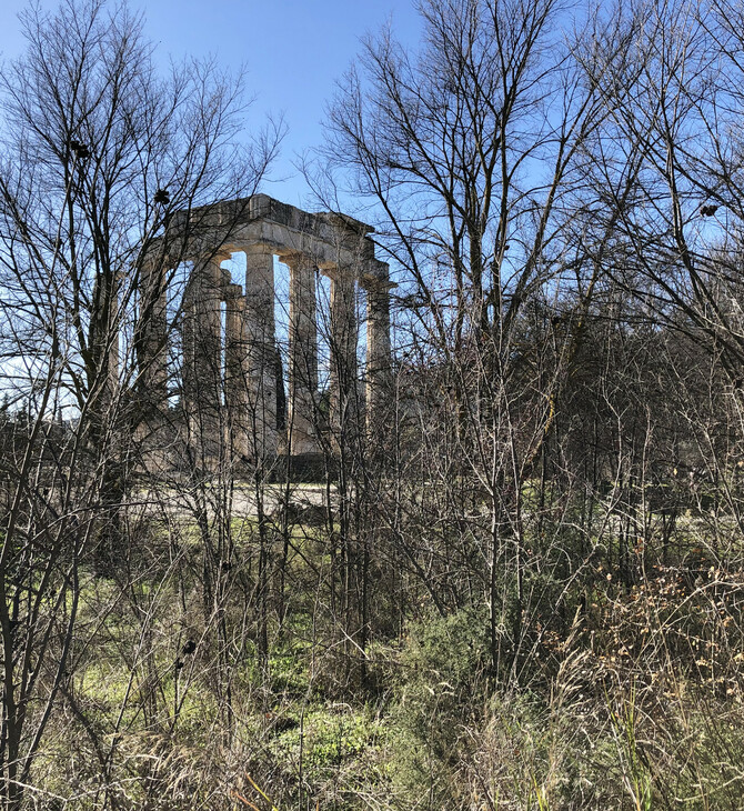 Αρχαία Νεμέα: Η εντυπωσιακή αναστήλωση του ναού του Δία