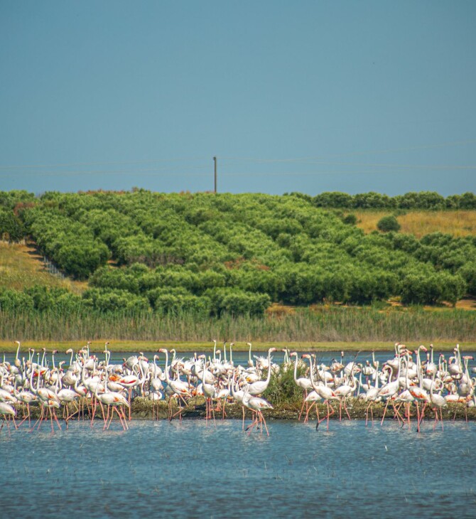 Περιοχές Natura και αιγιαλός ροκανίζονται στο πολυνομοσχέδιο σκούπα